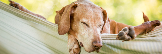 Relax – das Risiko einer Immobilienblase ist gesunken