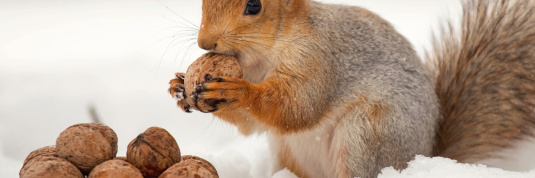 Gut gewappnet dank einem Erneuerungsfonds