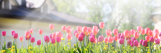 Dieser Immobilienfrühling ist vielversprechend