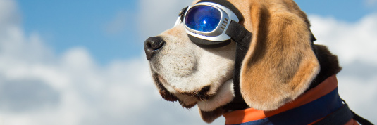 Wohneigentum weiter im Aufwind – jetzt einsteigen!