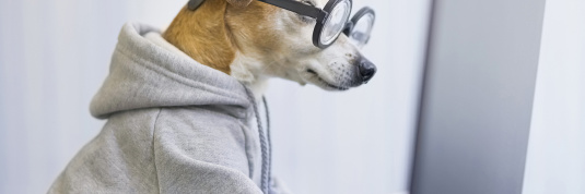 Steuern und Stockwerkeigentum – den Durchblick behalten