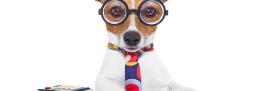 Eigenheim und Steuern – gewusst wie!