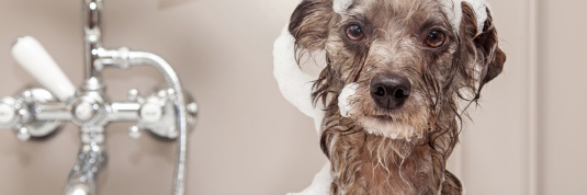 Sich richtig zu Hause fühlen – auch in Küche und Bad