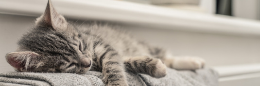 Clever heizen – Energie und Kosten sparen